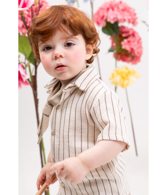 Bambolino :Alfonso-1915