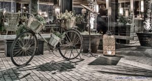 14650528_10210505464090712_5339499547535601503_n