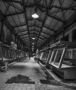 14656426_10210434498276611_939815096204831356_n