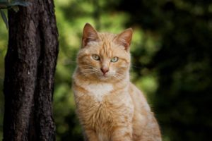 12439053_10208682662601814_8507306683669023664_n